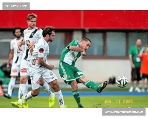 汉堡客场逆转沃尔夫斯堡 武什科维奇点射助球队脱离降级区